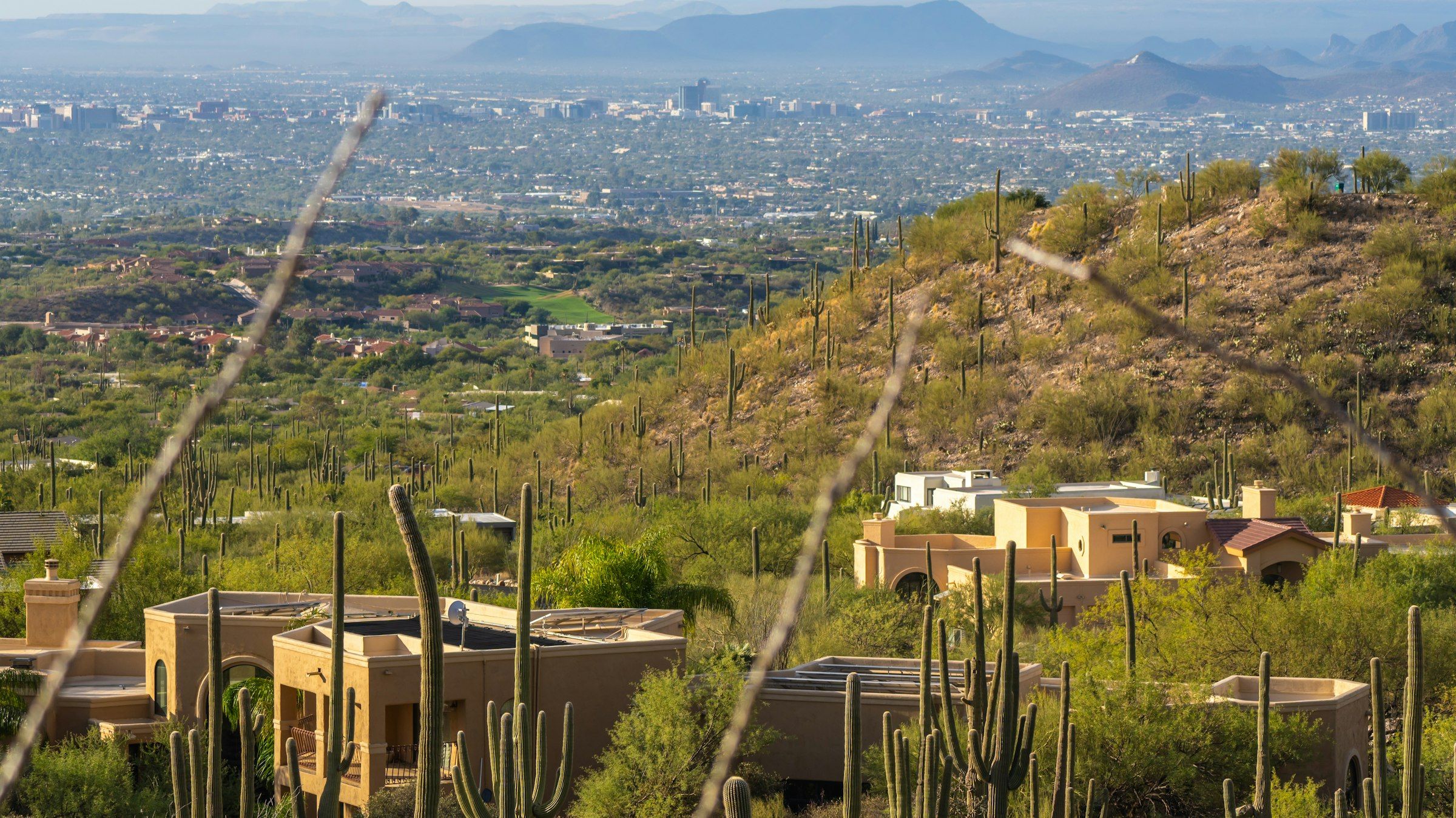 A single-story stucco home with desert landscaping in the Tucson area